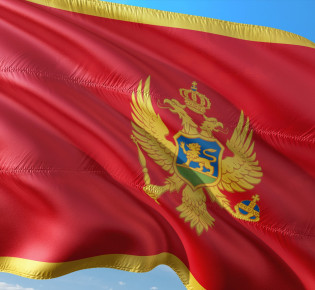 Горячая проблема экономики наконец-то решена: предприниматели Черногории и Сербии обсуждают установление прямых платежей