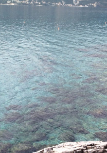 Результаты анализа качества морской воды в Черногории свидетельствуют о её высокой чистоте